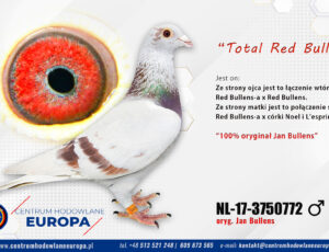 100% Jan Bullens – linia Red Bullens