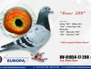100% Robert Bauer – linia De Klak