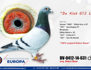 100% Robert Bauer – linia De Klak 613 i 045- Dikke Kras 07