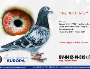 100% Robert Bauer – linia Late Kras  045 i 613 Janssen / De Klak