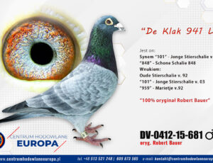100% Robert Bauer – linia De Klak 941 i 101