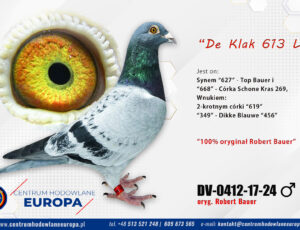 100% Robert Bauer – linia De Klak 613 i 045