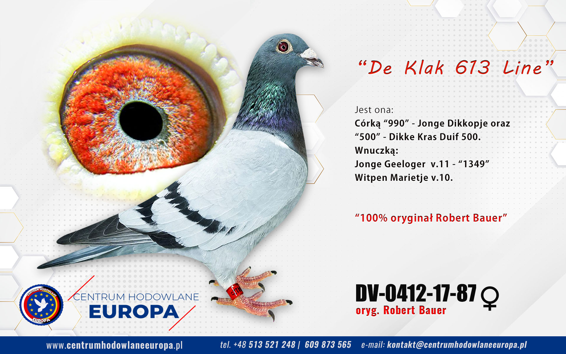 De Klak 613 Linia