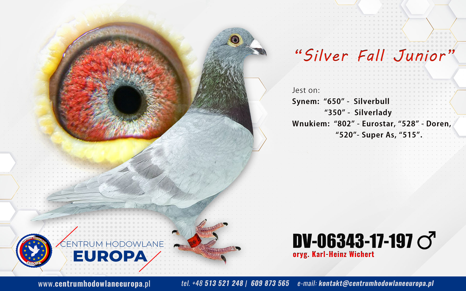 Silver Prange