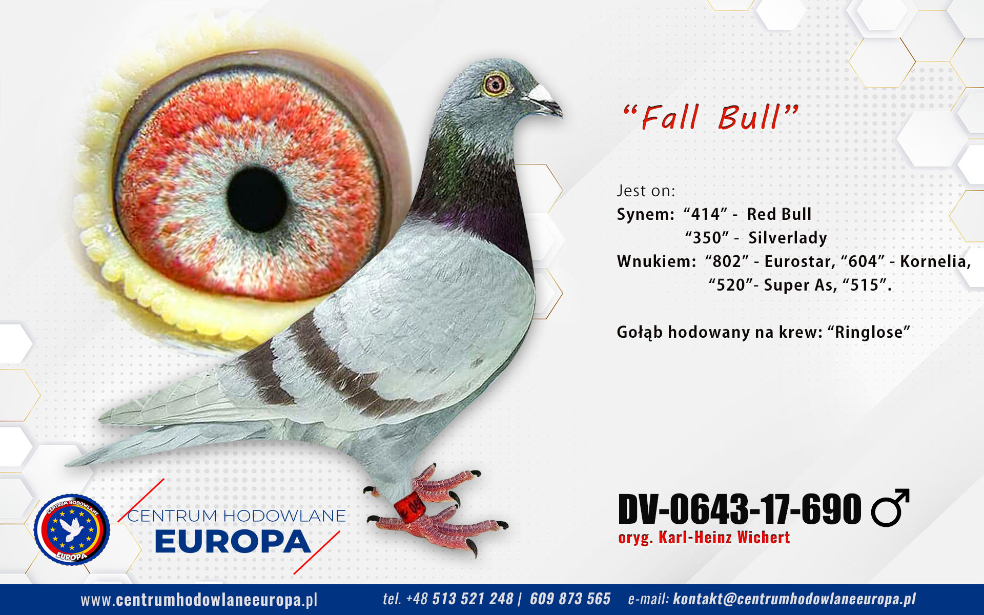 Fall Bull - Prange