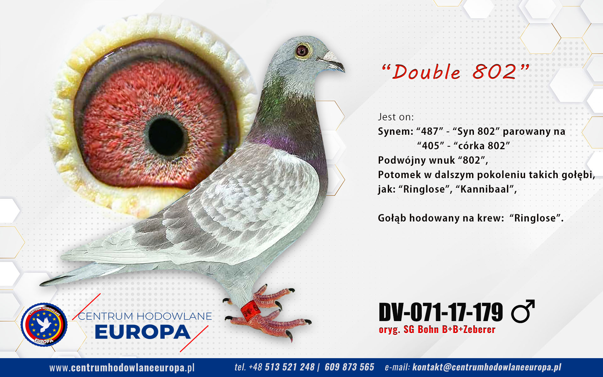 Double 802 Prange