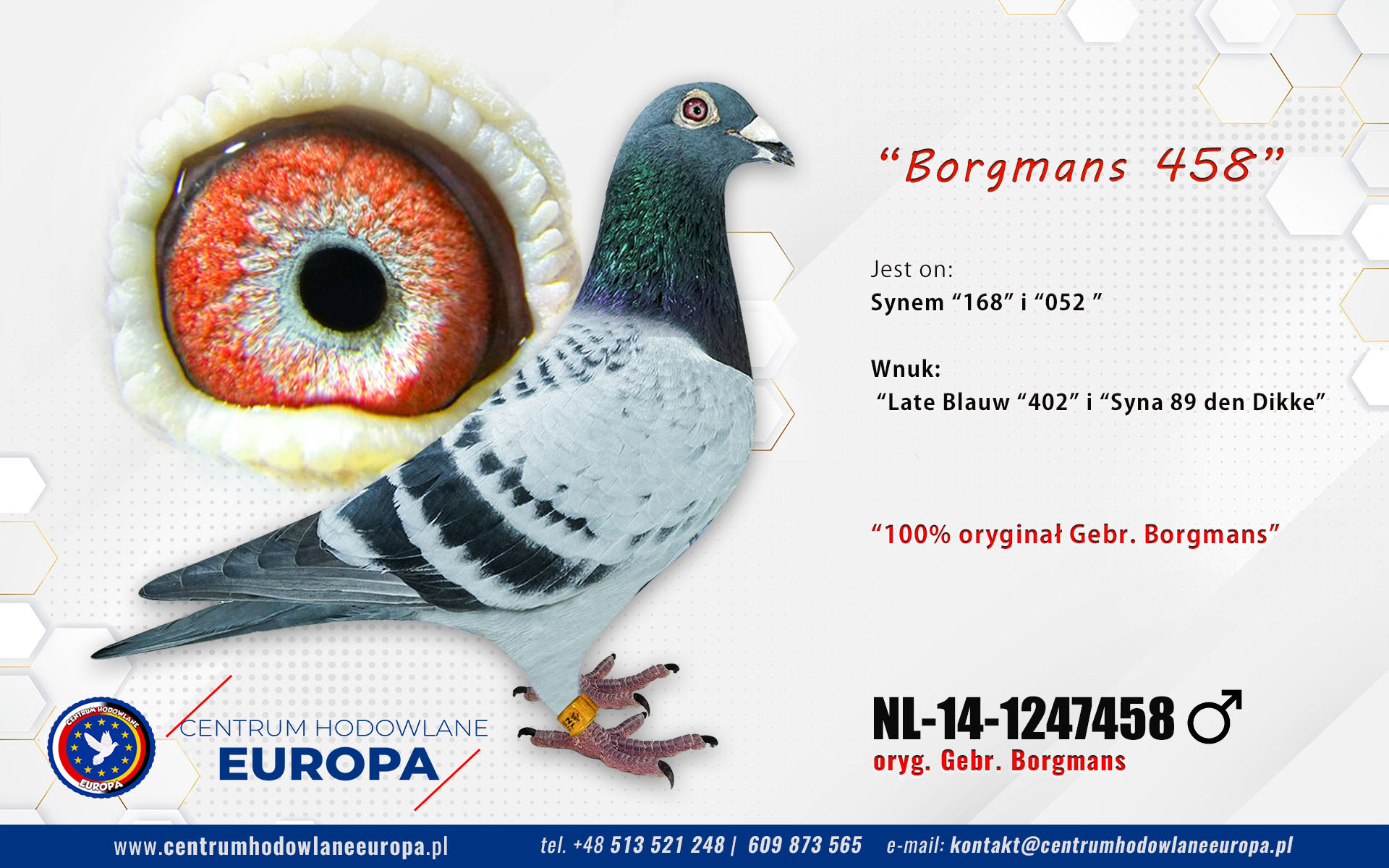 Borgmans 458