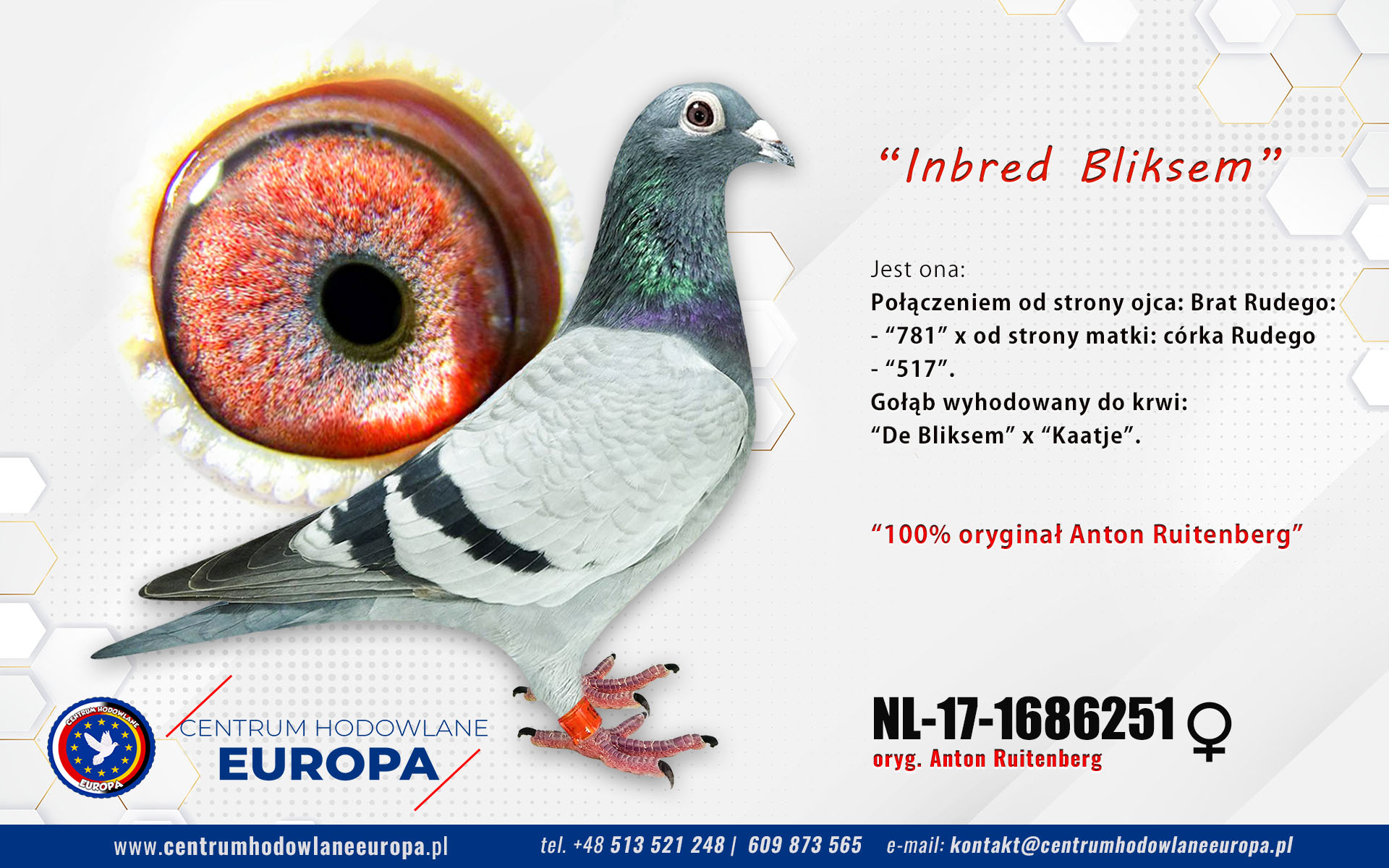 Inbred Bliksem