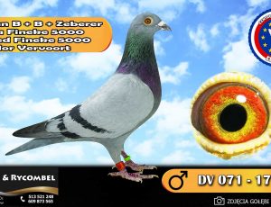 100% Bohn B + B + Zeberer – linia Fineke 5000