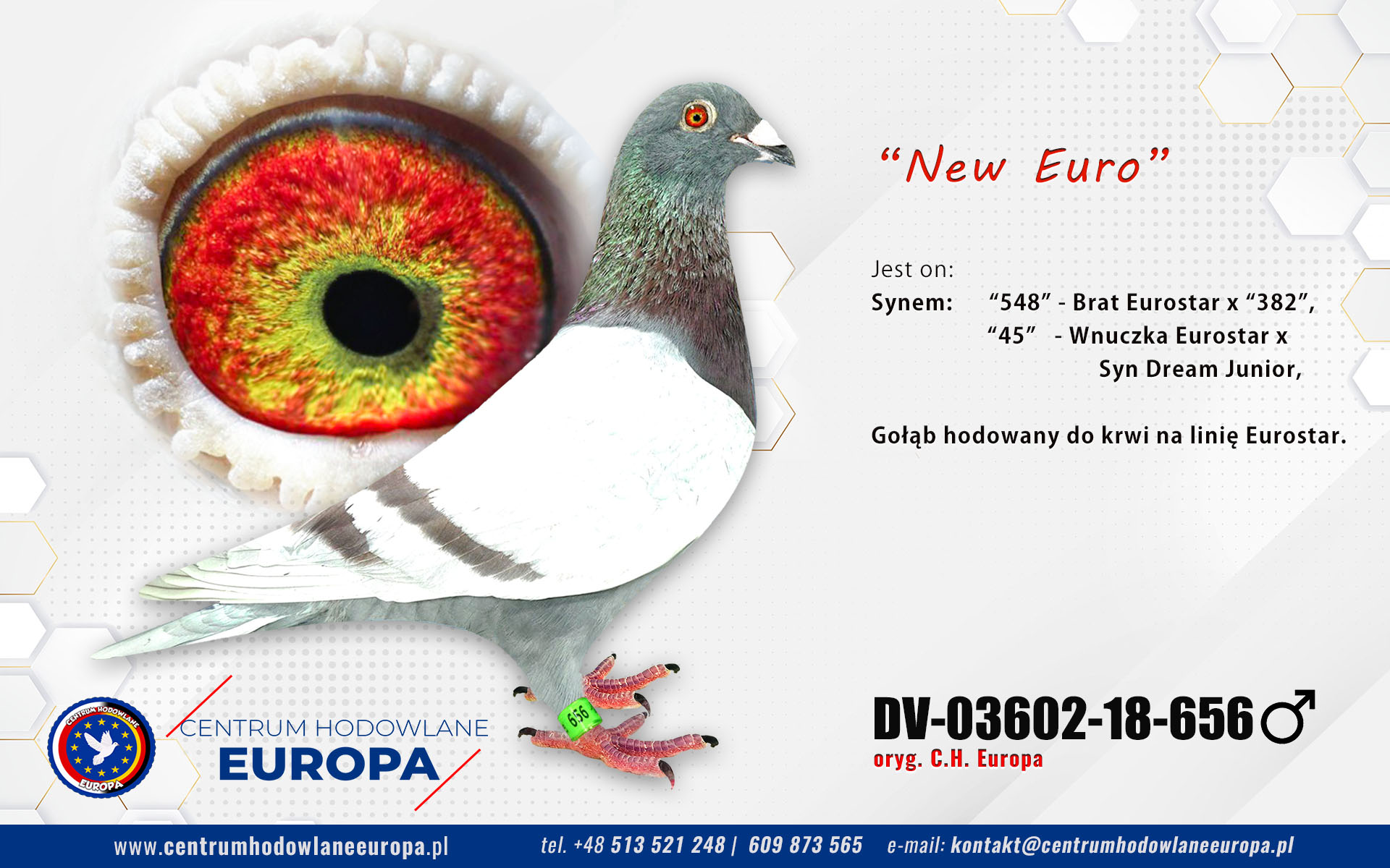 New Eurostar