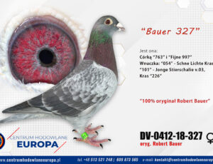 100% Rober Bauer – linia De Klak
