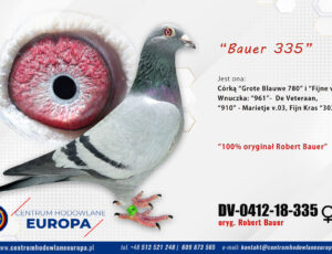 100% Robert Bauer – linia De Klak