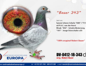 100% Rober Bauer – linia De Klak