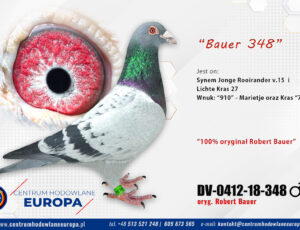 100% Rober Bauer – linia De Klak
