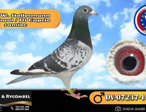 100% Werner Stellermann – Kannibaal / Di Caprio