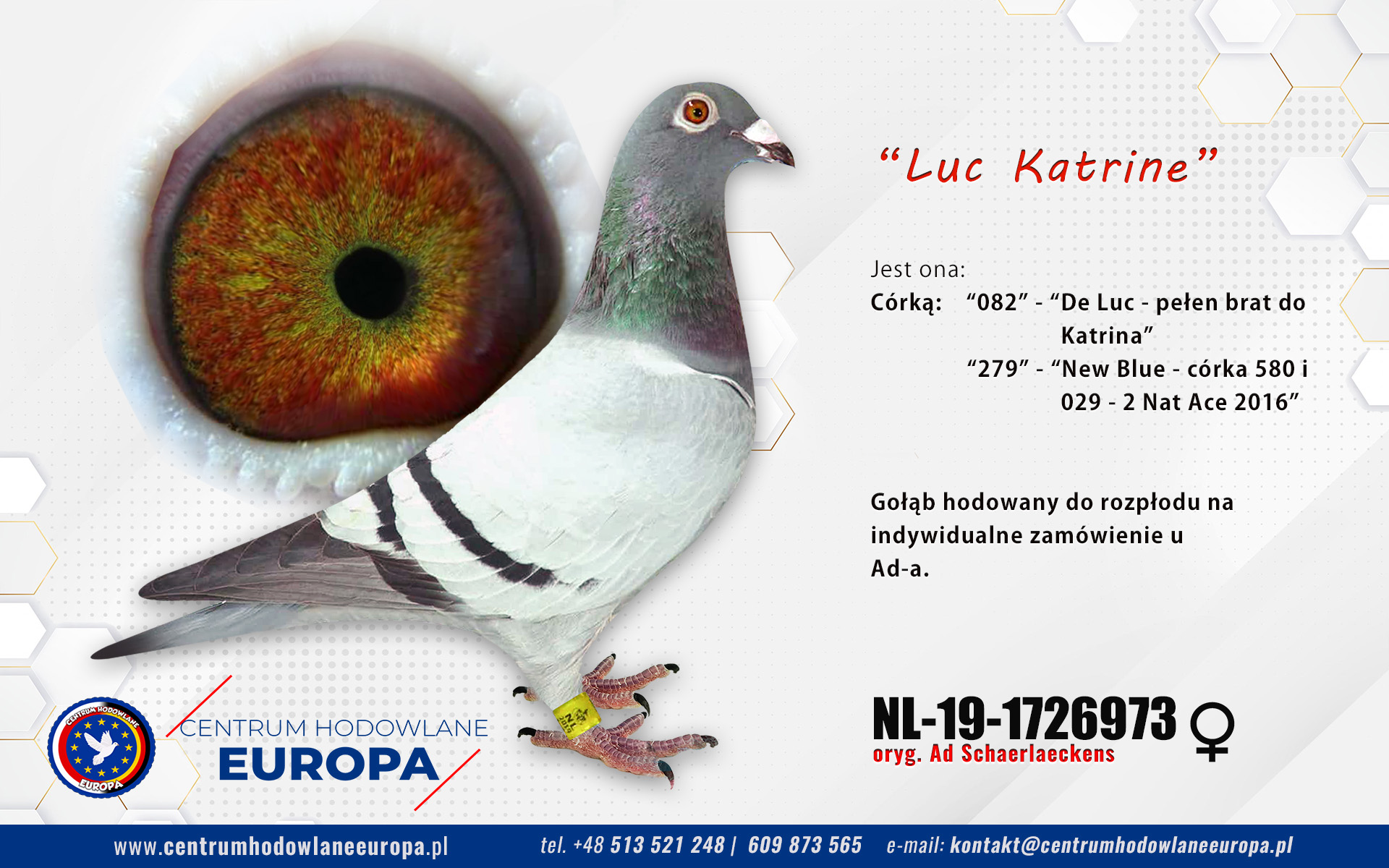 NL-19-1726973