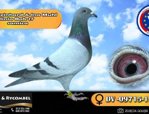 100% Reinhard & Ina Muhl – linia Bak 17