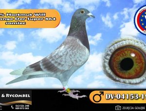 100% Hartmut Will – linia Prange – Der Super 864