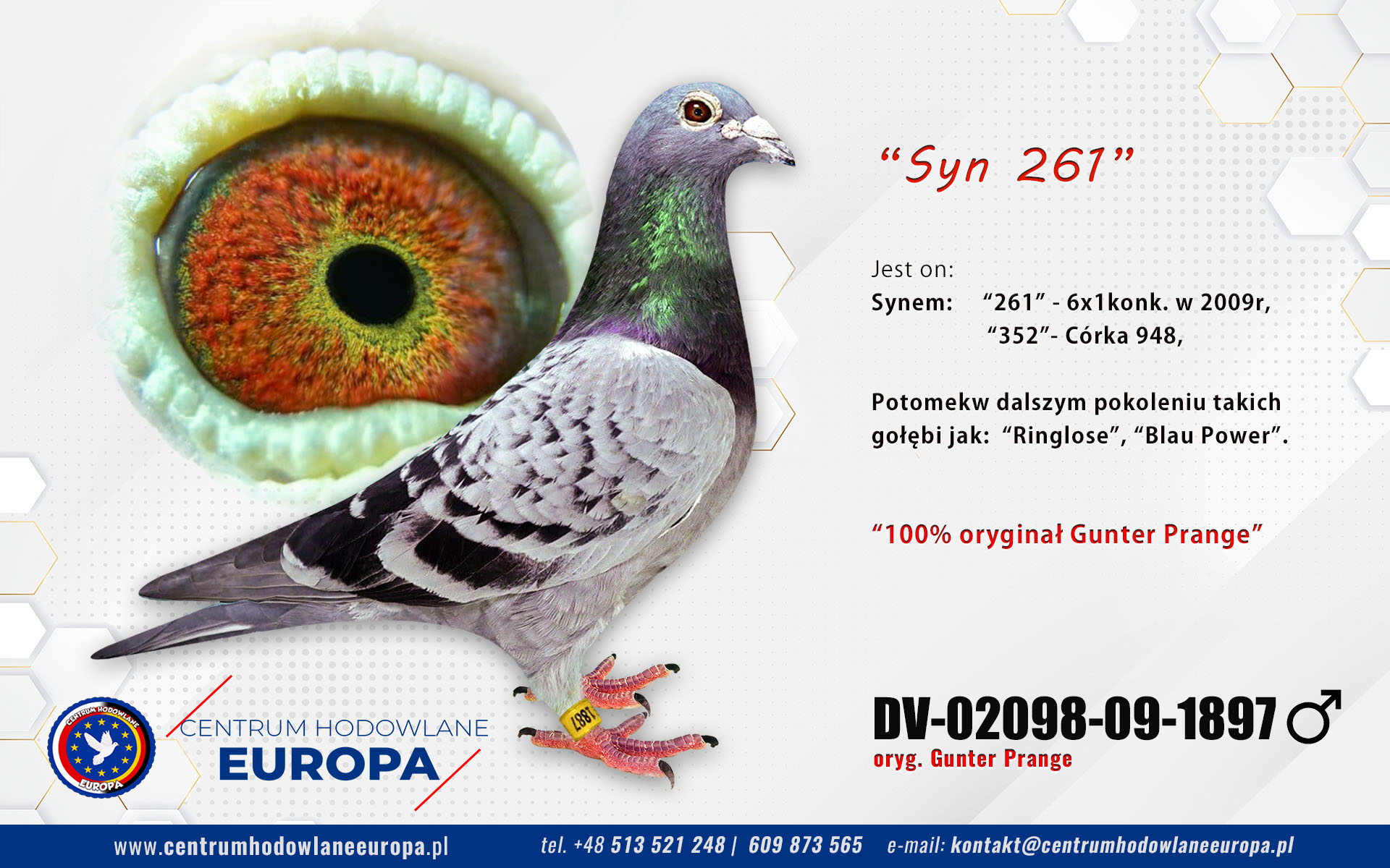 Syn 261 od G. Prange