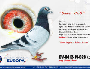 100% Robert Bauer – linia De Klak 045 i 020 P.A.C. van der Horst