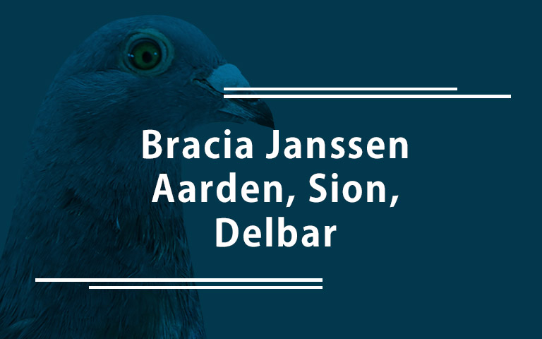 Bracia Janssen, Aarden, Sion, Delbar