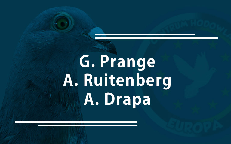 Gunter Prange, Ruitenberg, Drapa