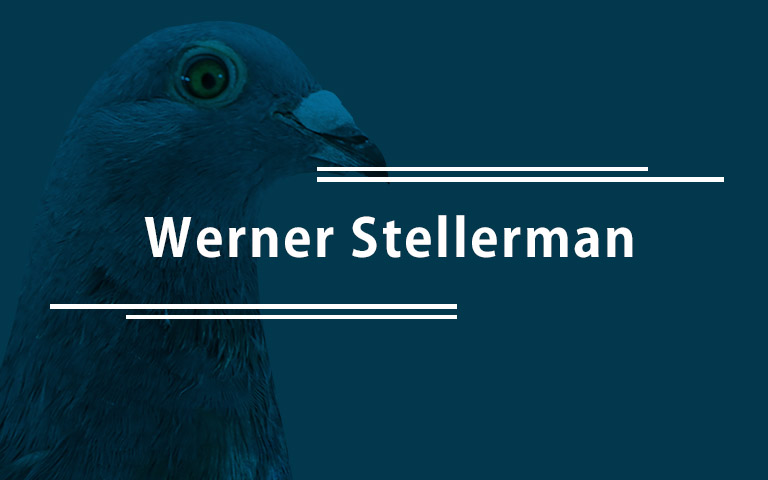 Werner Stellerman