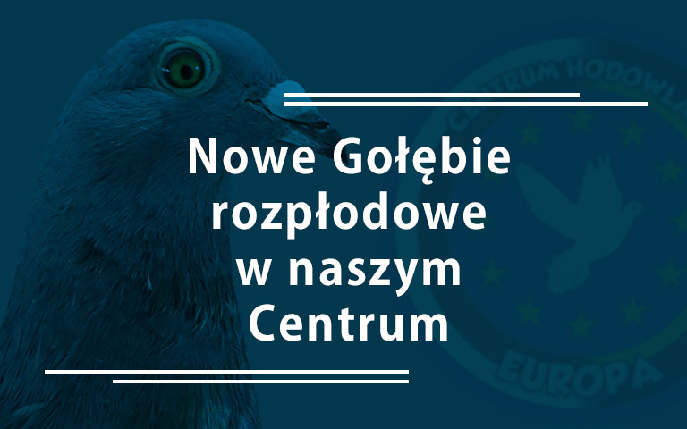 Nowości w Centrum Hodowlanym Europa