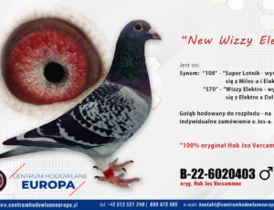 Oryg. Hok Jos Vercammen- New Wizzy Elektro