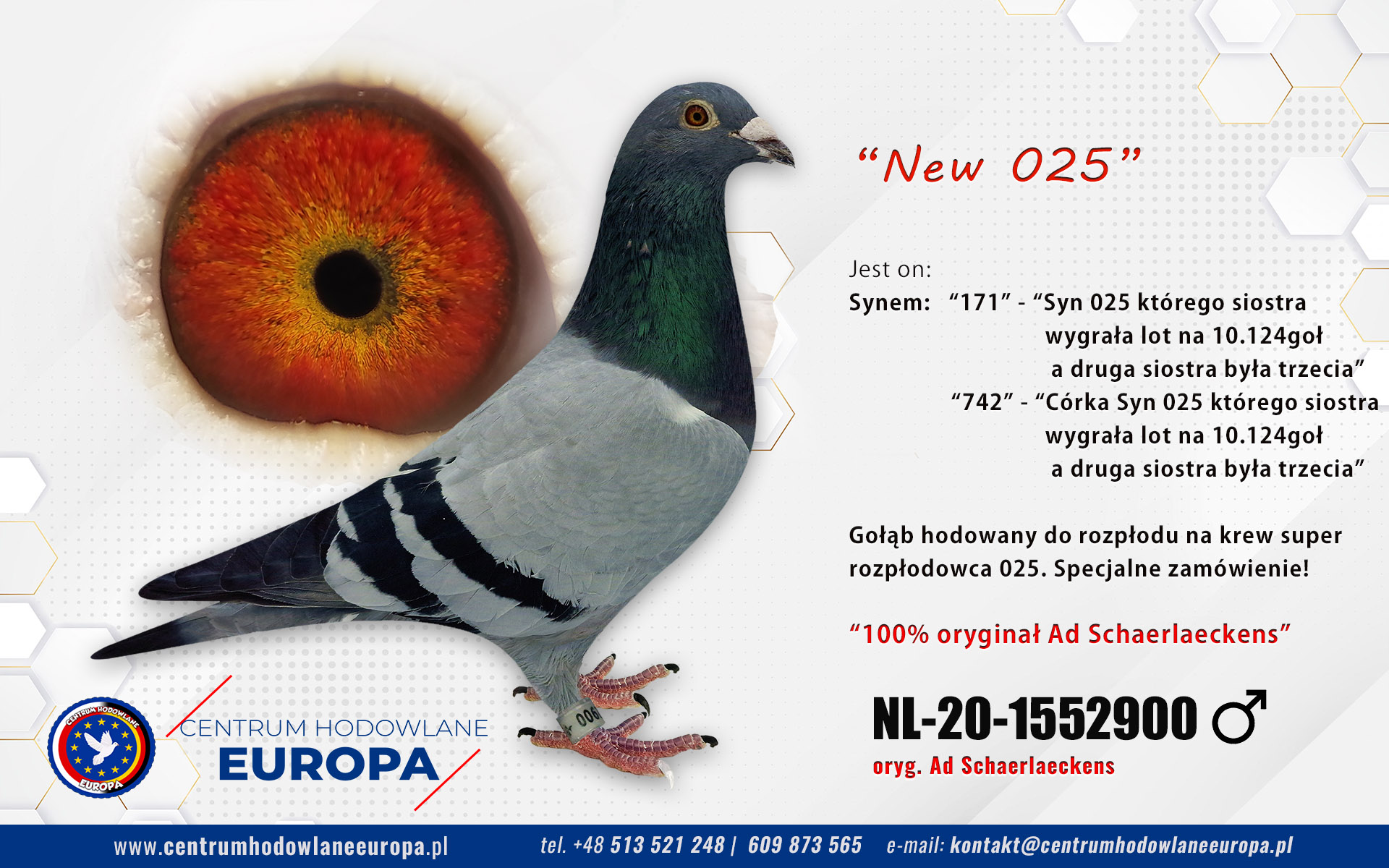 NL-20-1552900