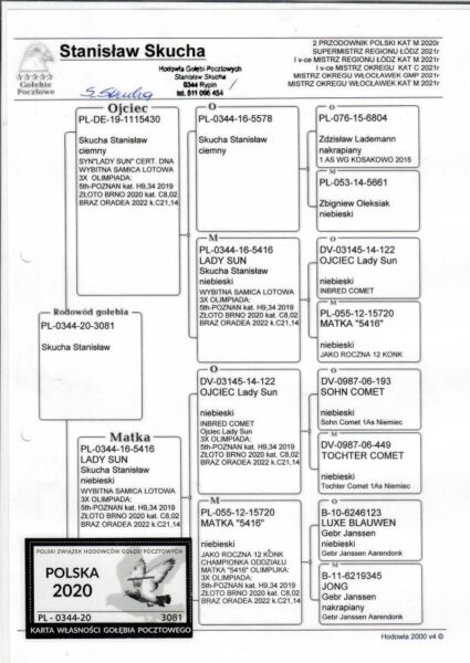 PL-0344-20-3081